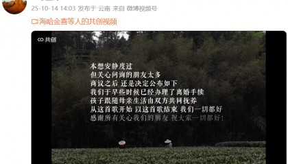 李亚鹏和小19岁海哈金喜离婚被指避债,律师解读:李亚鹏的债务或不受离婚影响