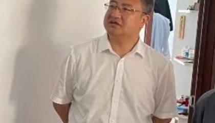 中央巡视组巡视期间,李大伟主动投案
