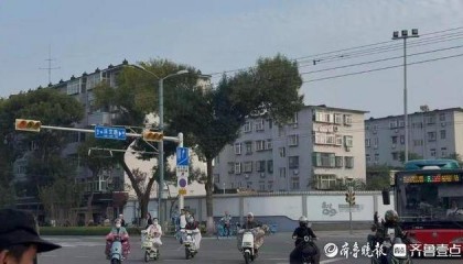 济南街头“恐龙树”走红,园林部门:形态天成,或随天气而变
