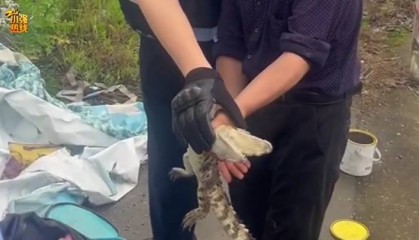 吓一大跳!浙江一男子钓鱼竟然钓到了…异常凶猛!