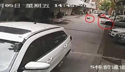 特斯拉碾压幼童案二审维持原判,车主获刑10个月 车主:将考虑上诉