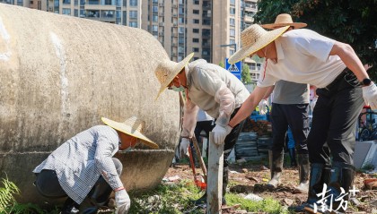 顺德超3300名党员干部下沉一线,党群联动打响蚊媒防控歼灭战