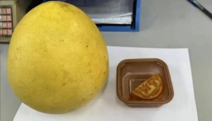 广东一公司给员工发半块月饼作为福利?网友吵翻了,公司:系下午茶,每人还发了柚子