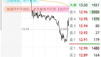 阳光股份股票(阳光股份股票价格)