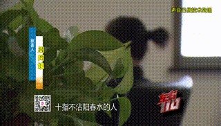 “从小不缺钱,父母百依百顺”,53岁啃老女花光父亲遗产后,又盯上……