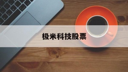 极米科技股票(极米科技股票值得买吗)