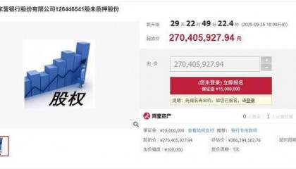 东营银行2.88%股权被司法拍卖,起拍价2.7亿元