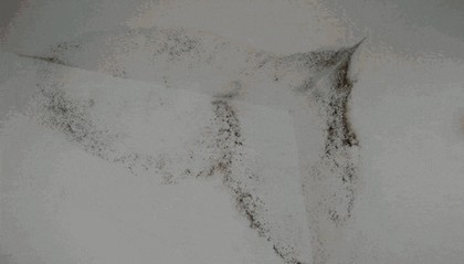 “真的绝望”!最近,很多深圳人家中被悄悄入侵!速自查这些地方……
