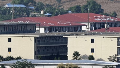 缅甸军方突袭电诈园区,查获关键证据,铁证如山马斯克逃不了干系