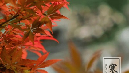 节气文化·寒露|空庭得秋长漫漫 寒露入暮愁衣单