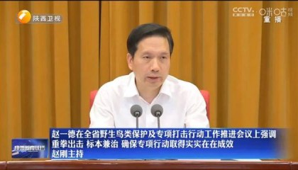 陕西省委书记发声:重拳出击、高压震慑