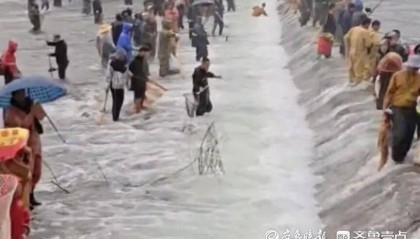“鱼多得数不过来,一网子下去能捞好几条”济南锦绣川水库开闸放水,大量鲢鱼被冲出,工作人员:禁止捕捞!