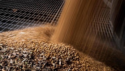 当不成总统了？关键时刻，美国爆发大规模抗议示威，700万人冲上街头，对外释放信号强烈