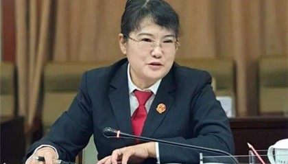 原专职委员杨琴,被查