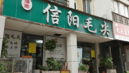 河南唯一!81.78亿元的信阳毛尖,凭什么成为“国家队”重点培育对象?
