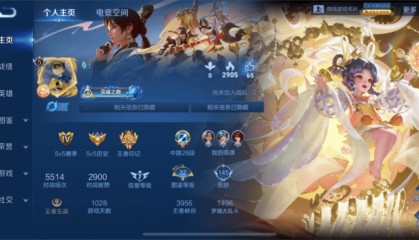 青岛女律师起诉《王者荣耀》匹配机制,游戏团队:属商业秘密,无法公开
