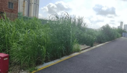 广西南宁一小区业主与物业互相起诉!律师:主张物业费减免需长期全面取证