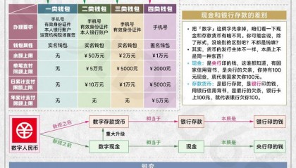 数字货币是怎么回事(数字货币被骗最好的解决办法)