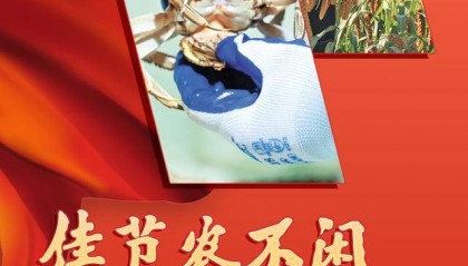 大众日报与16市党报联动,看山东新农人忙农事