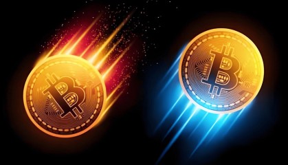 马斯克警告:危机将至,比特币BTC暴涨