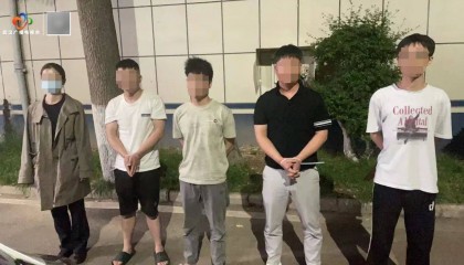 雷霆出击!武汉警方一举抓获32名“白富美”