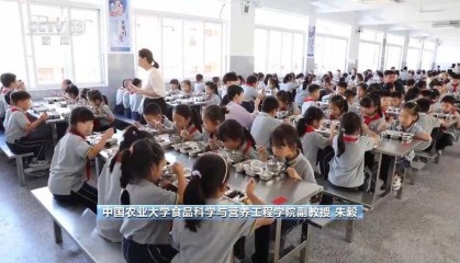 校园配餐首个国家标准发布 如何保障有效落地?专家解读