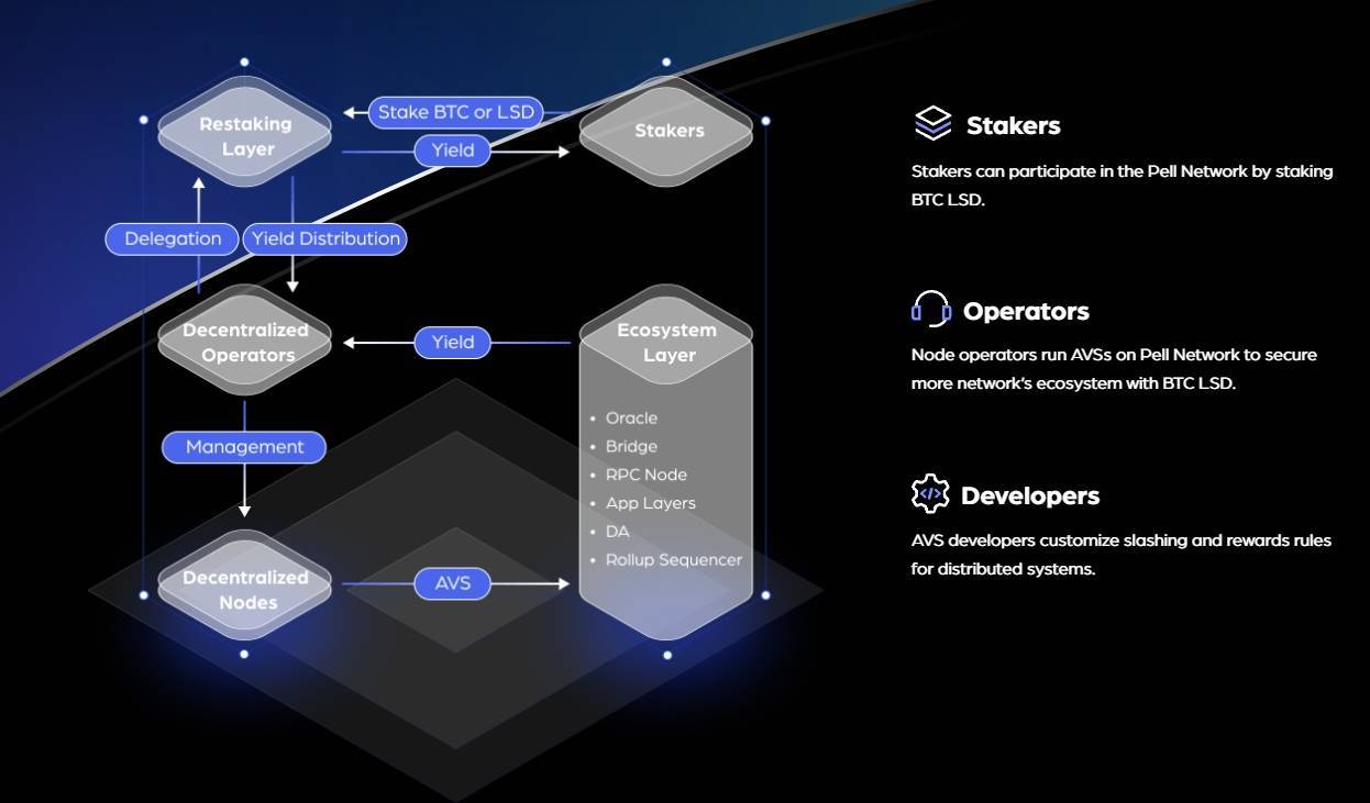 基于比特币再质押构建 AVS 网络，Pell Network 如何释放 BTCFi 万亿市场？