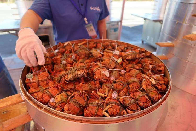 东营市垦利区:黄河口大闸蟹抢“鲜”上市