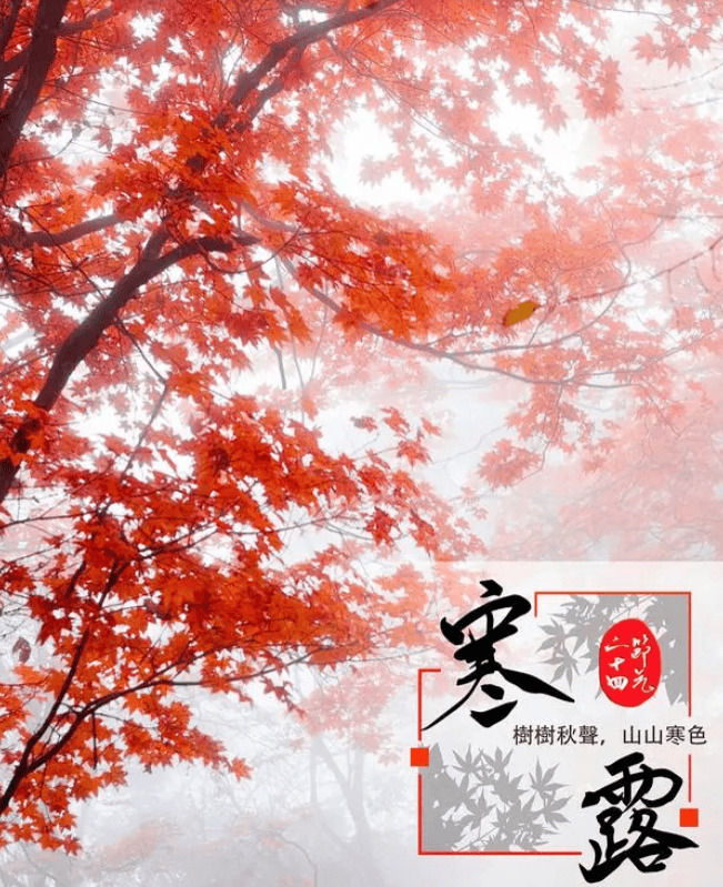 节气文化·寒露|空庭得秋长漫漫 寒露入暮愁衣单