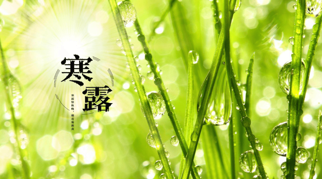 节气文化·寒露|空庭得秋长漫漫 寒露入暮愁衣单