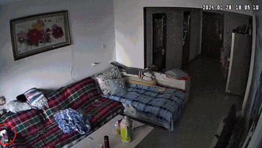 睡觉没拔充电器家被烧,“一两分钟火苗蹿到天花板”,当事人:损失十几万元