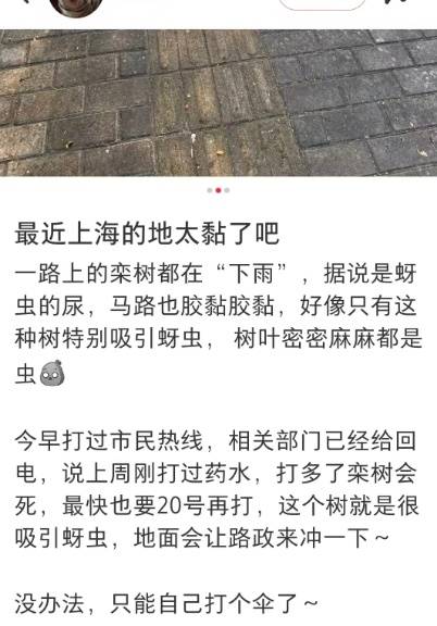 太恶心！上海街头大量出现！地上、车上、鞋上全都黏糊糊的！网友傻眼：根本擦不干净