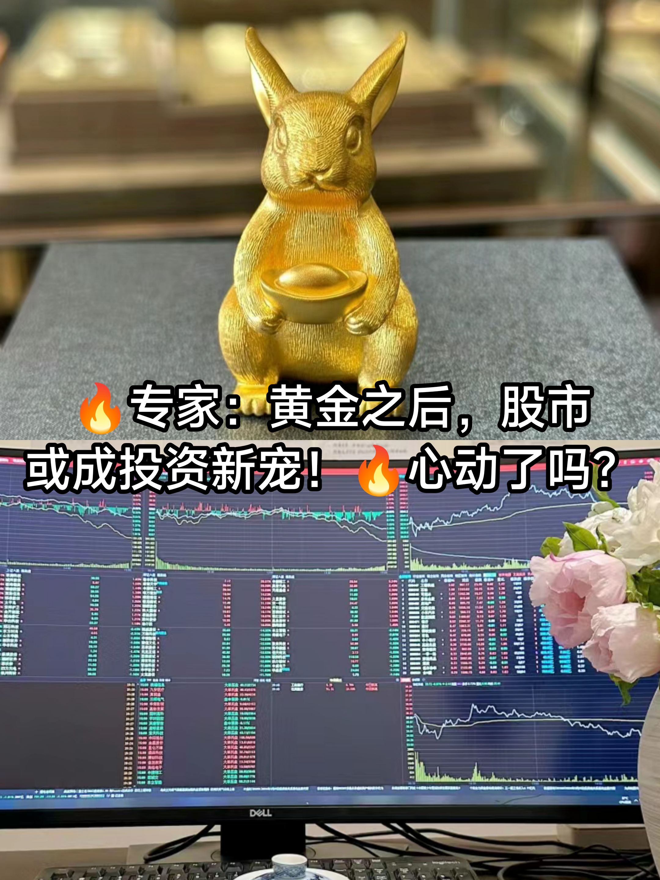 金龙鱼股票股吧(唯一被大摩重仓买入的股票是) 金龙鱼股票股吧(唯一被大摩重仓买入的股票是)