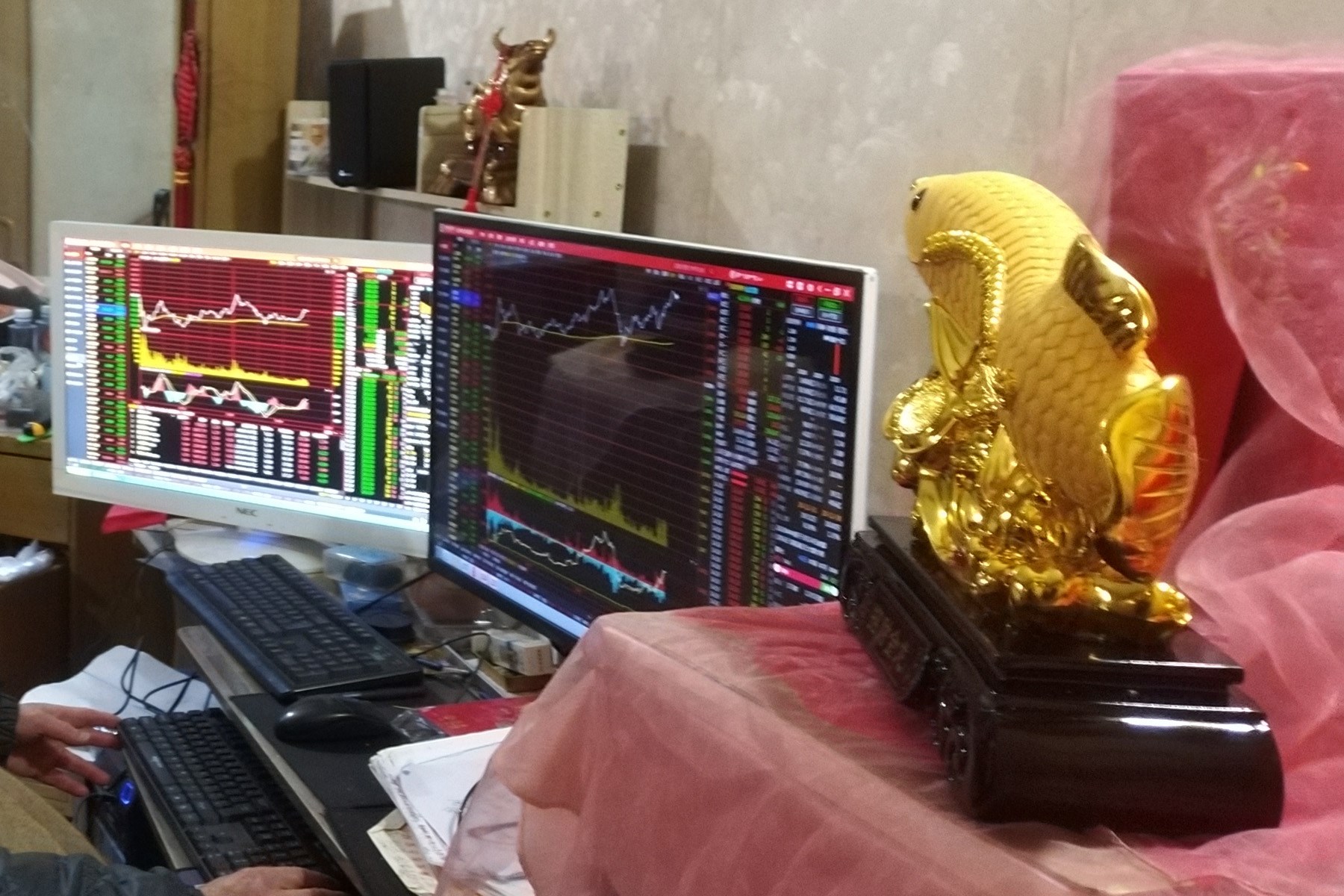 金龙鱼股票股吧(金龙鱼2025目标价) 金龙鱼股票股吧(金龙鱼2025目标价)